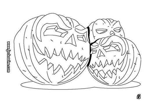 Calabaza #31007