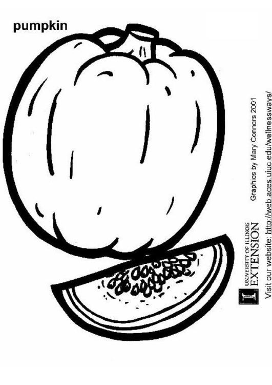 Calabaza #31008