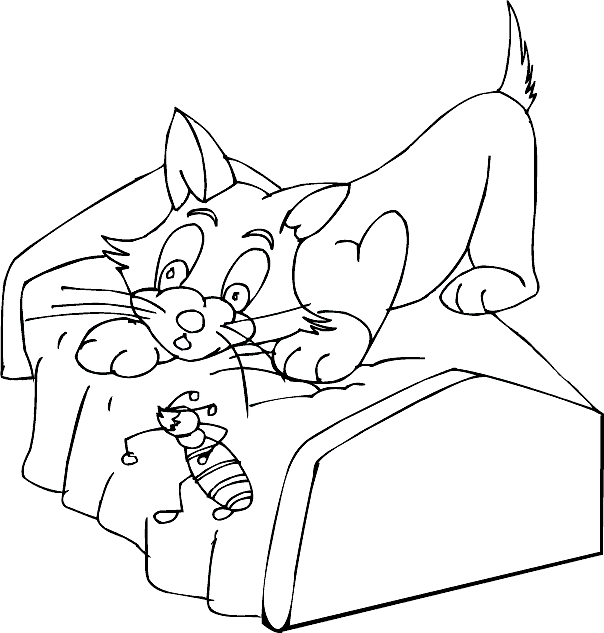 Cama #31082