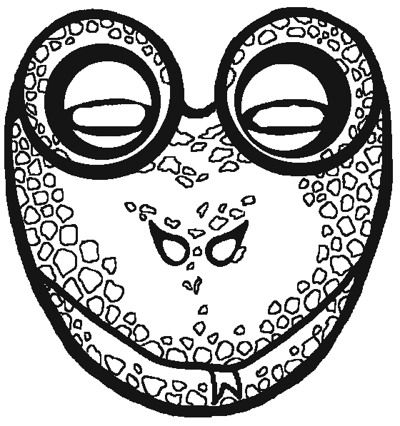 Máscara #31652