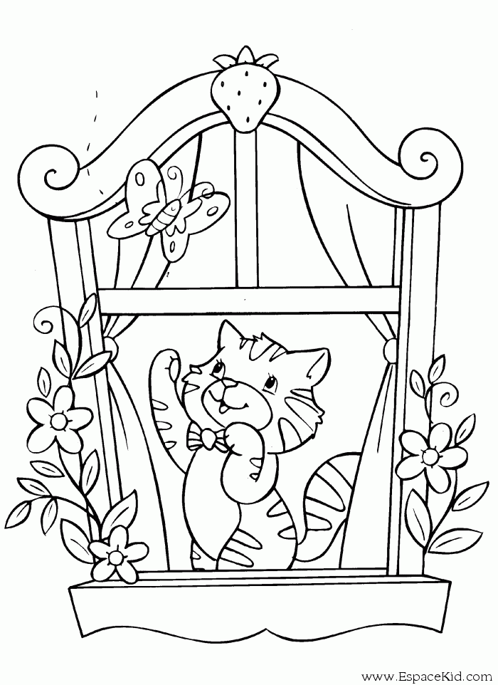 Ventana #32066