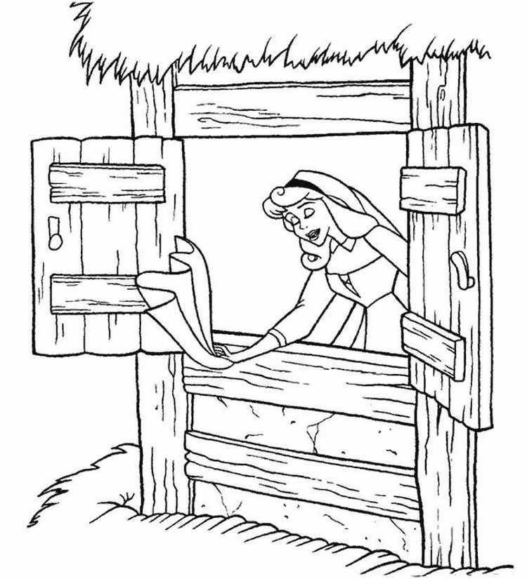 Ventana #32069