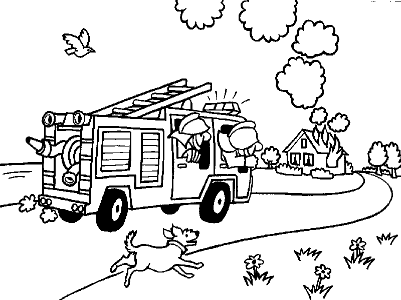 Bombero #32488