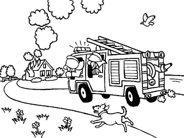 Bombero #32506