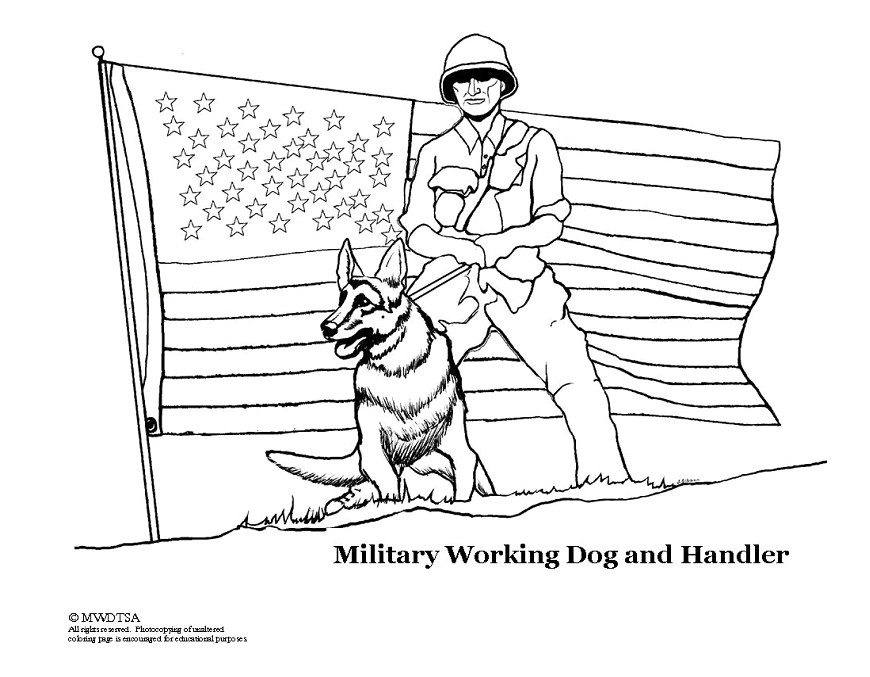 Militar #33074