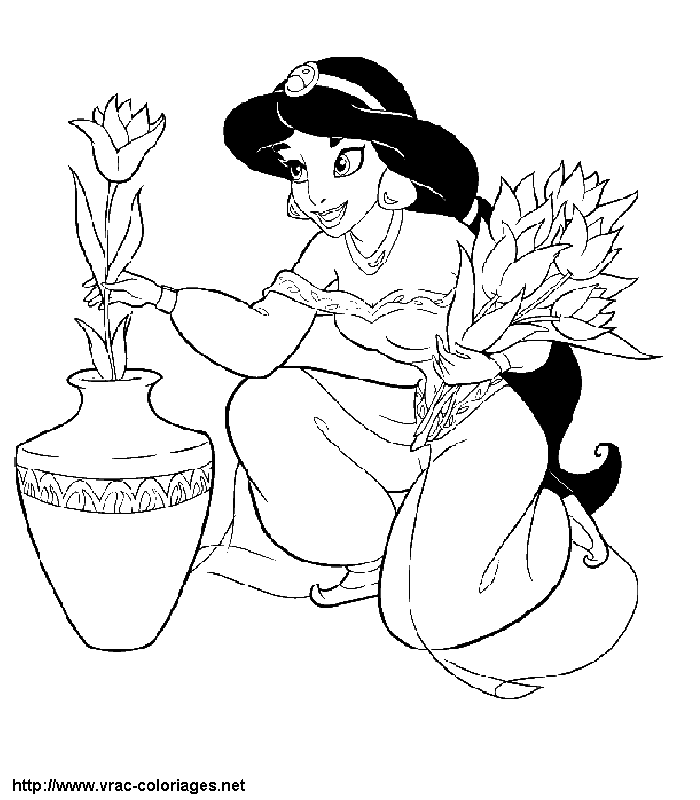 Aladdin #35435