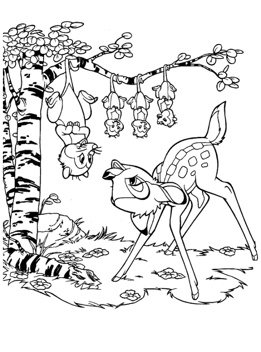 Bambi #36094
