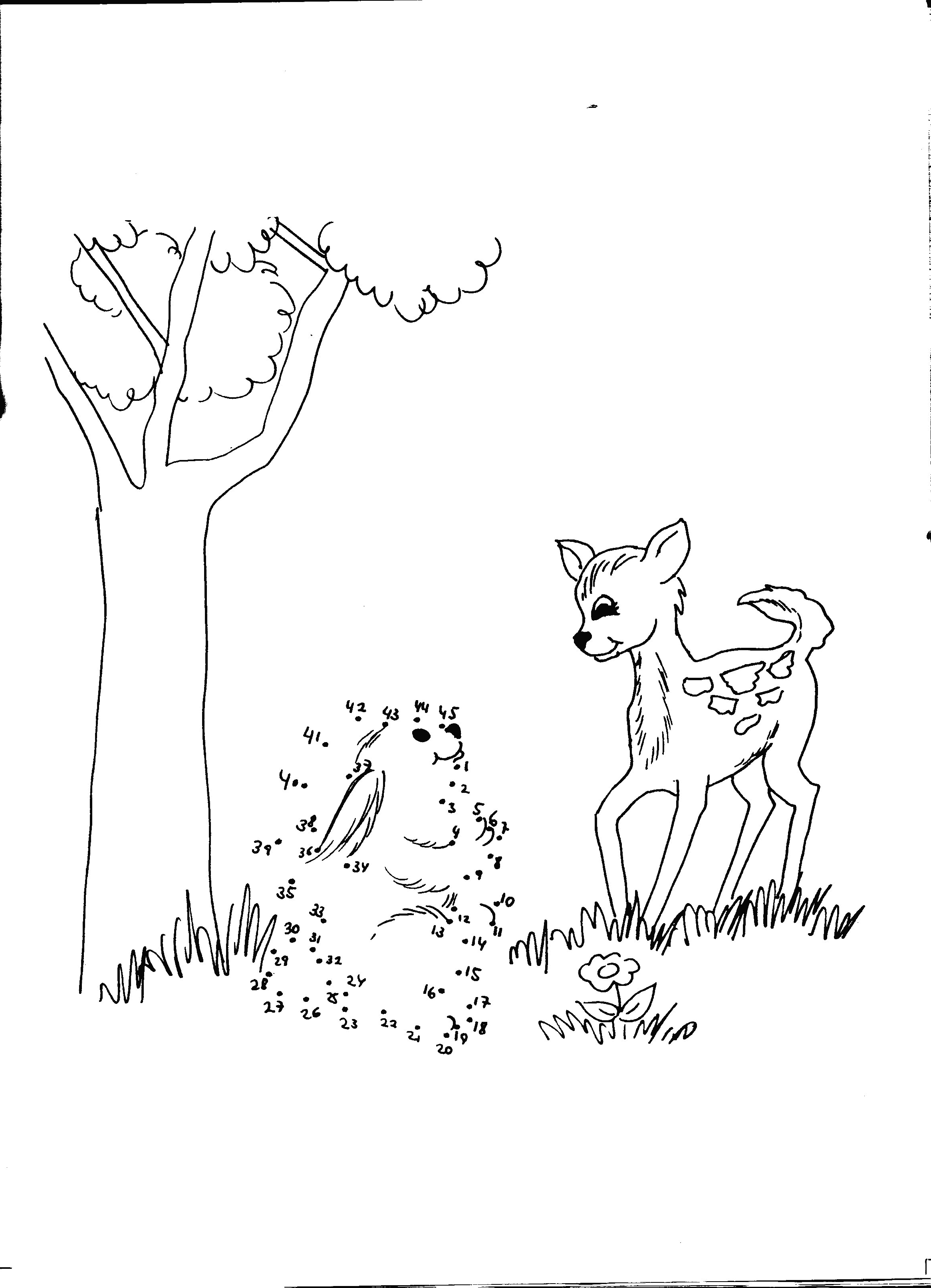 Bambi #36102