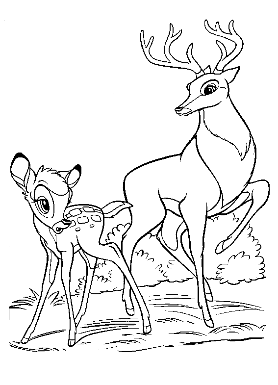 Bambi #36112