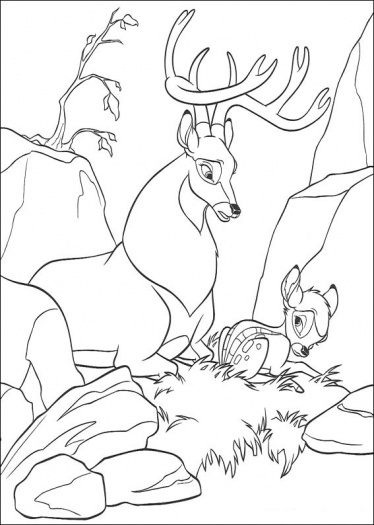 Bambi #36117