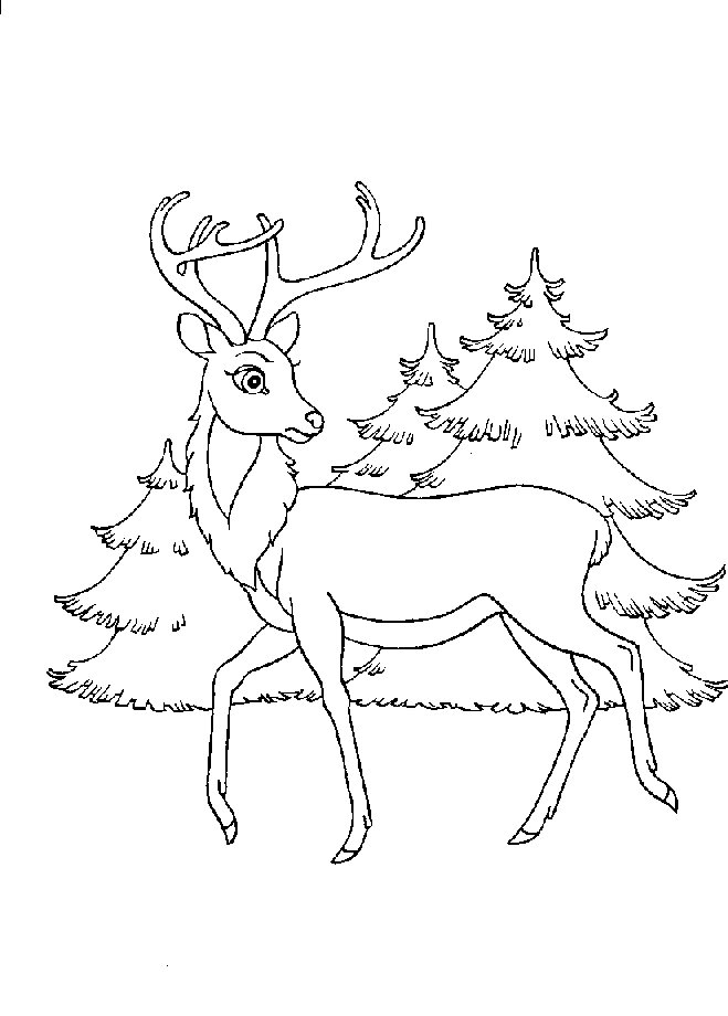 Bambi #36133
