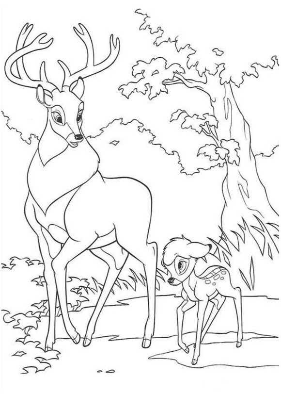 Bambi #36134