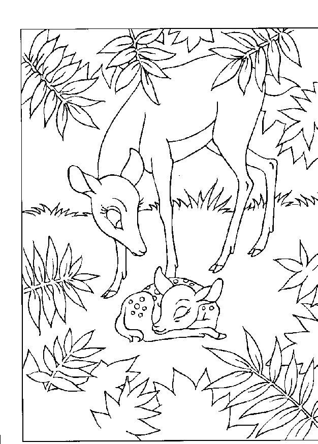 Bambi #36136