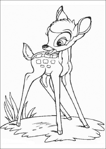 Bambi #36142