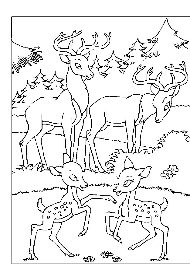 Bambi #36156