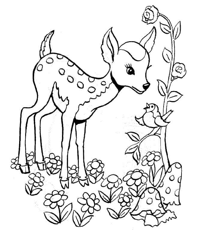 Bambi #36161