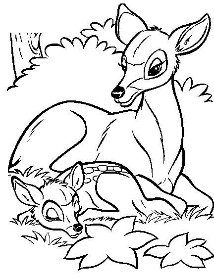 Bambi #36171