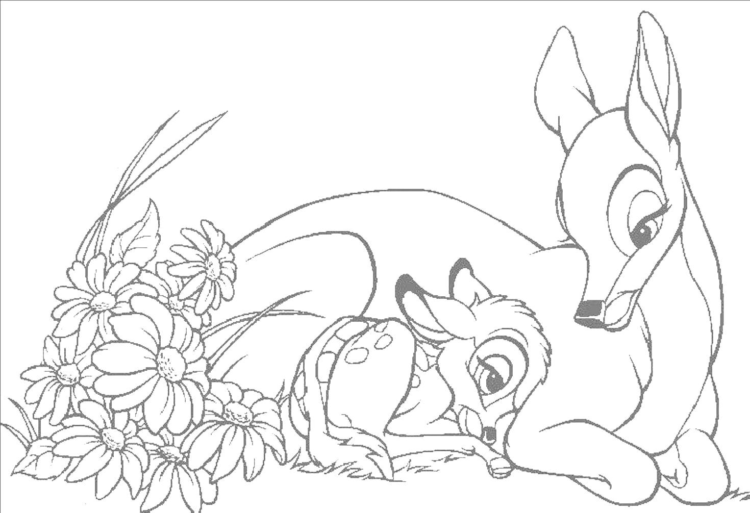 Bambi #36019