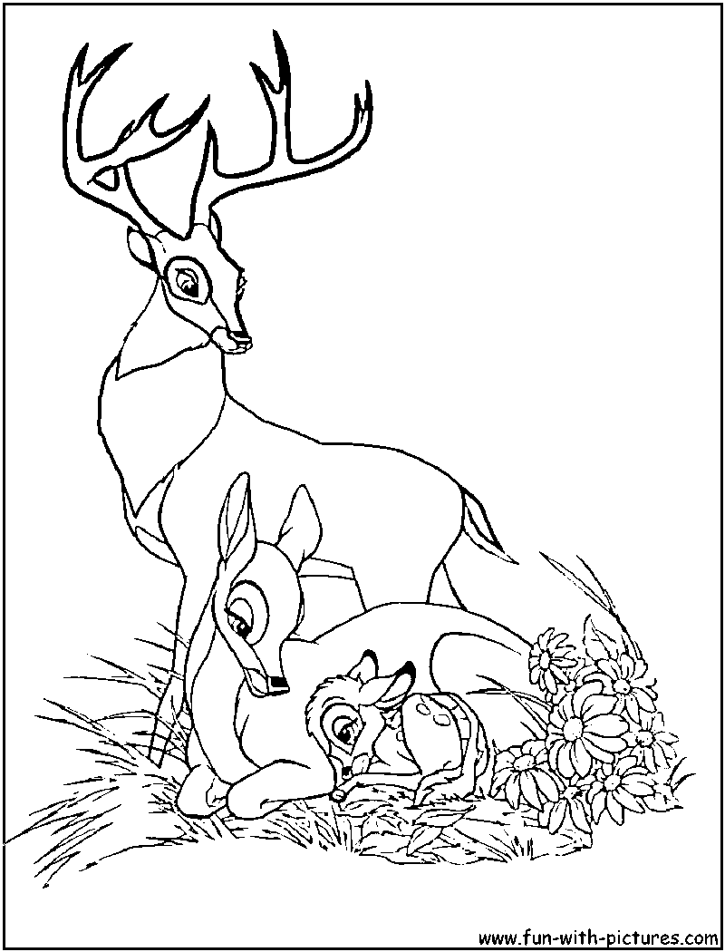Bambi #36023