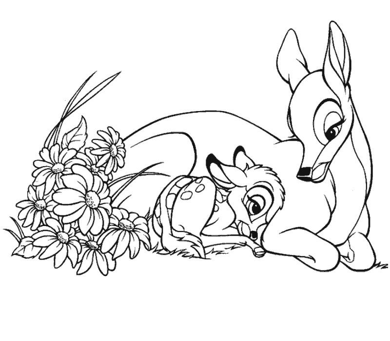 Bambi #36035