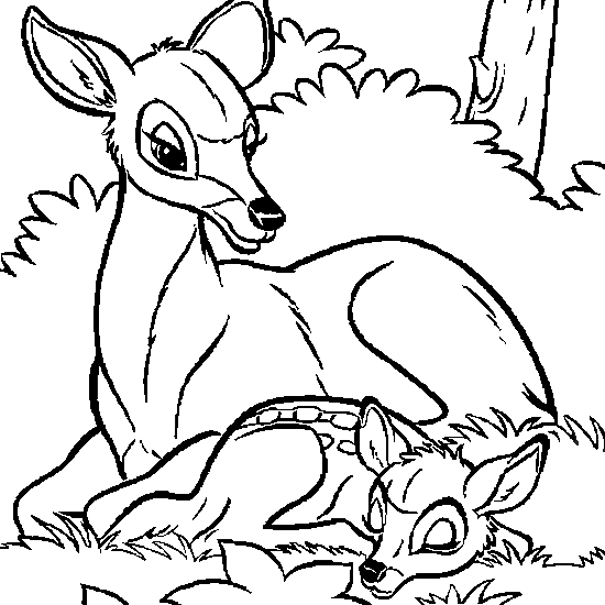 Bambi #36040