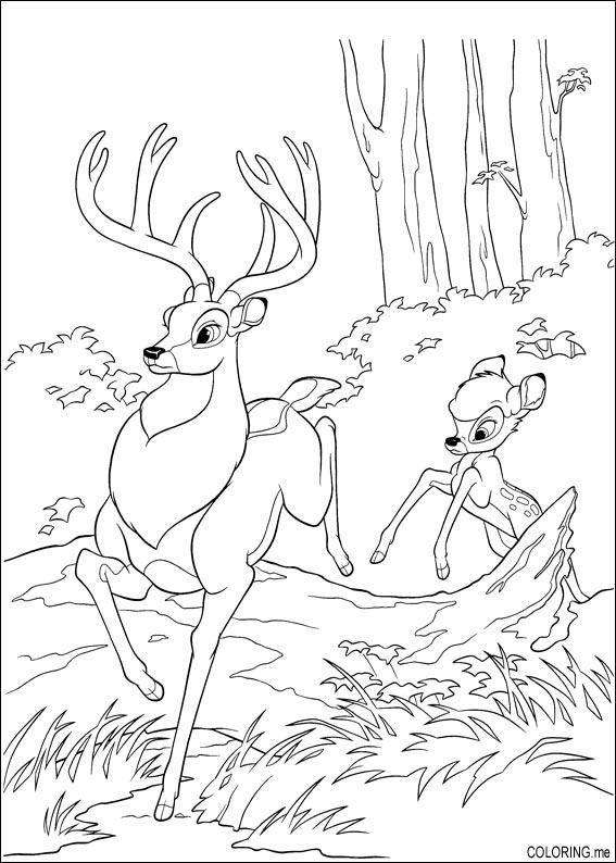 Bambi #36043