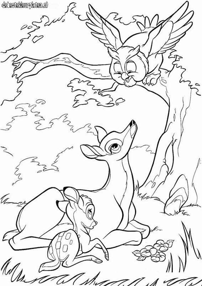 Bambi #36060