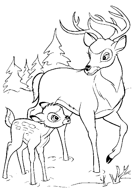 Bambi #36063