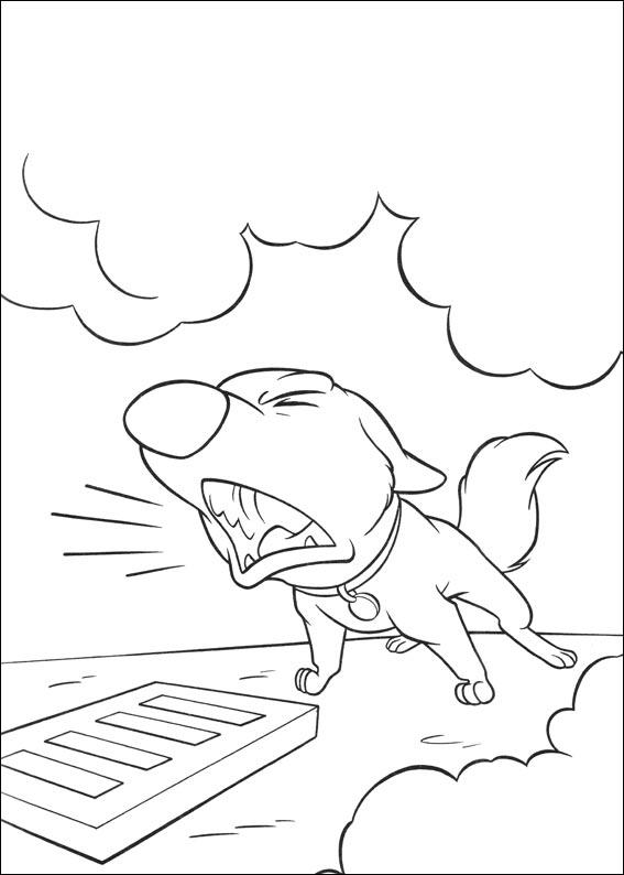 Bolt #36237
