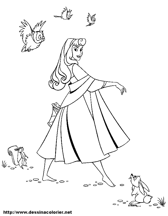 La Cenicienta #36765