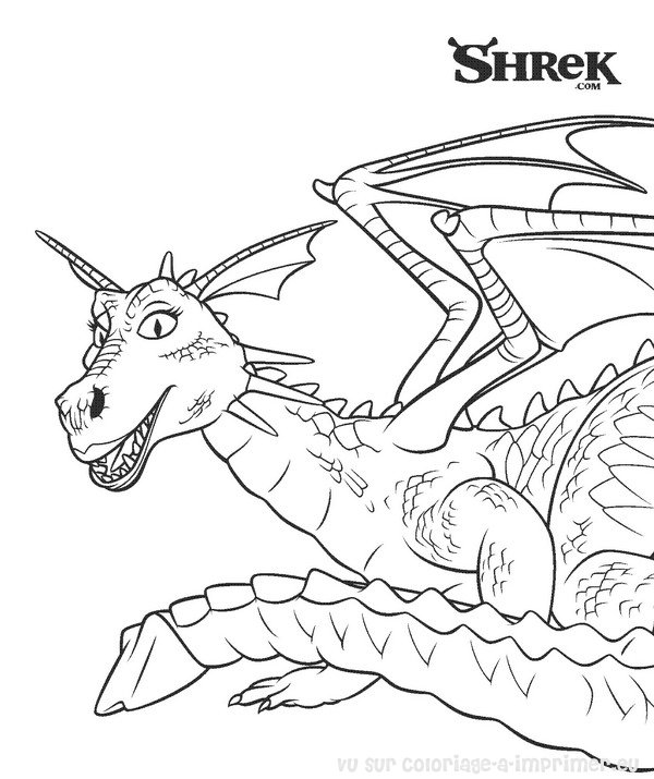 Shrek #38529