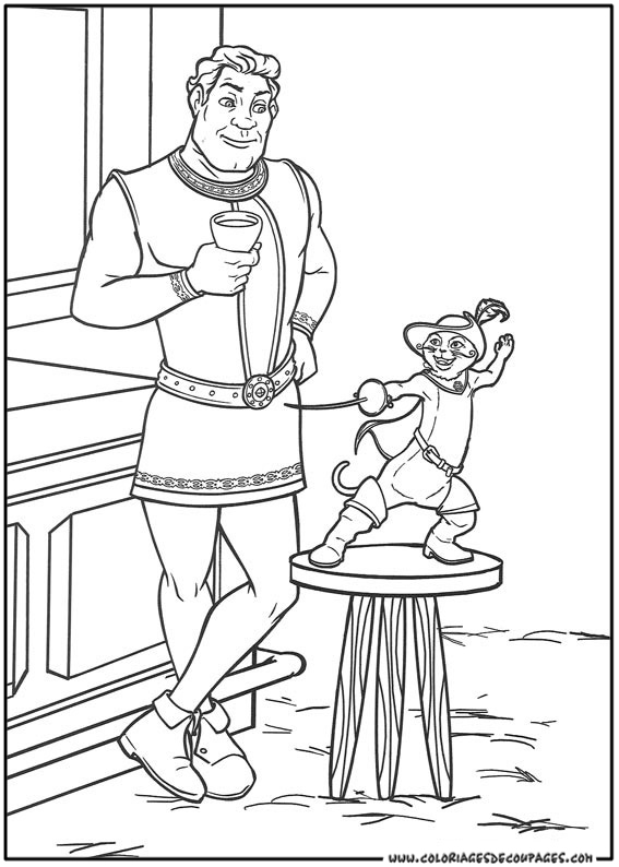 Shrek #38605