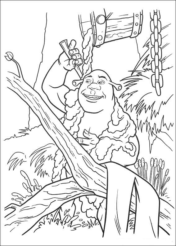 Shrek #38636
