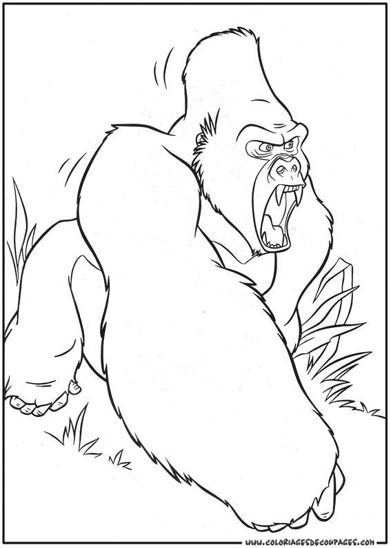 Tarzan #38952