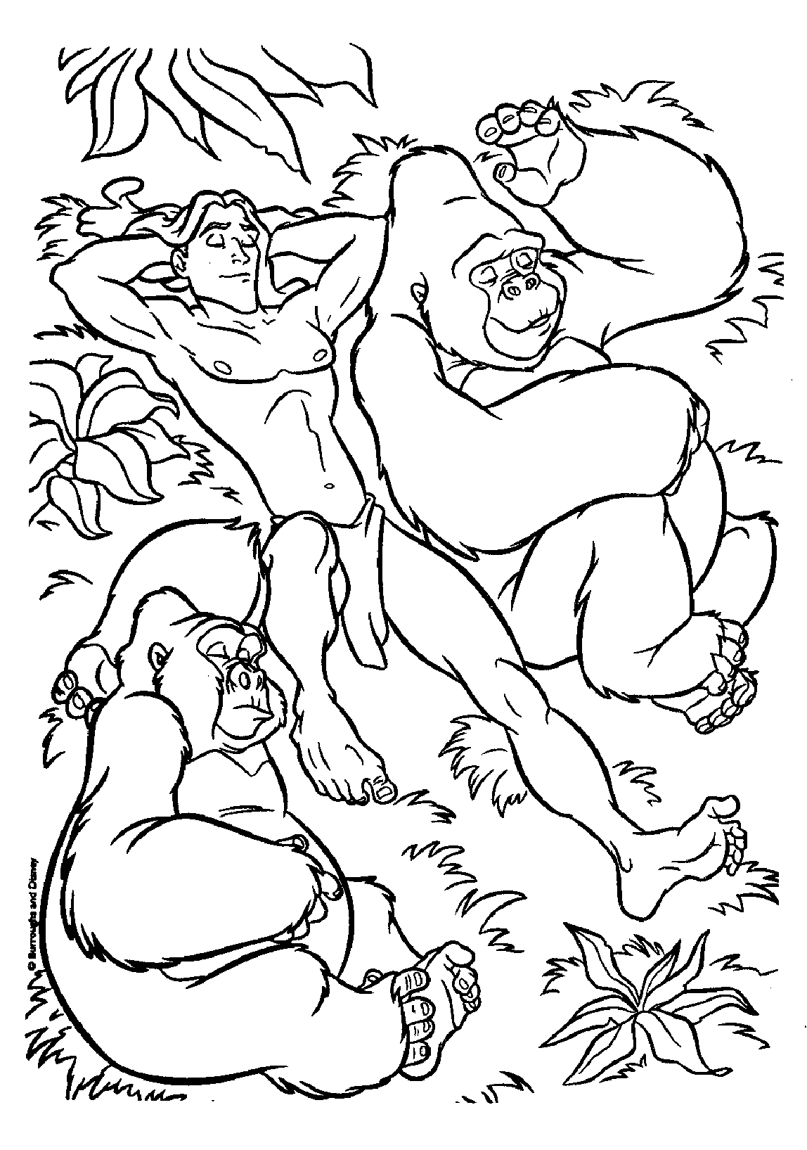 Tarzan #39009
