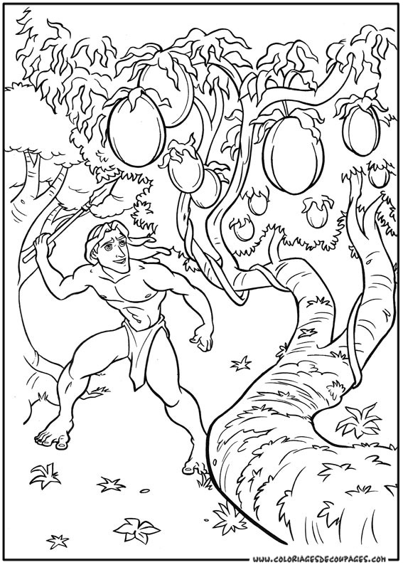 Tarzan #39017