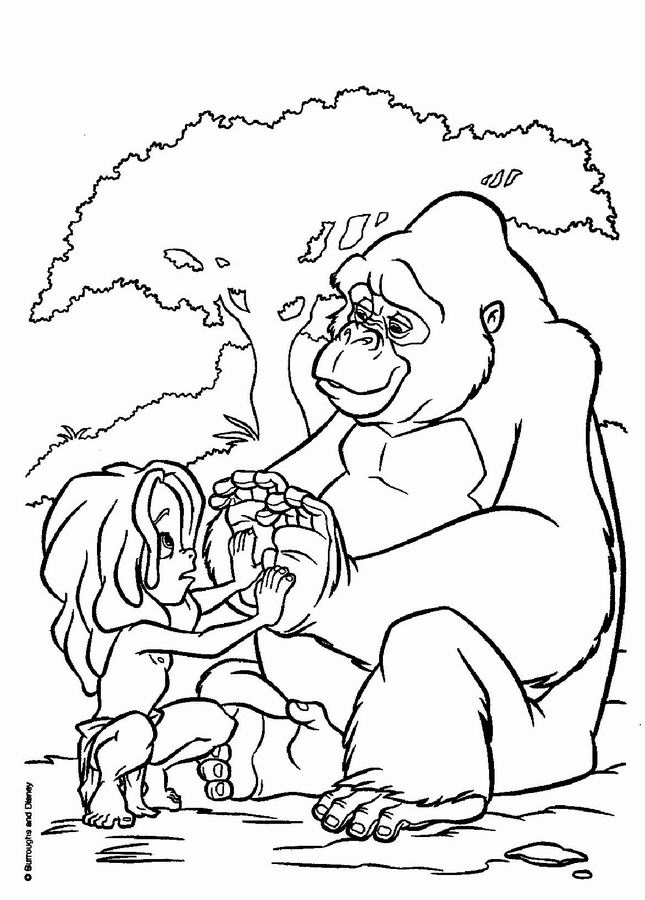 Tarzan #39051