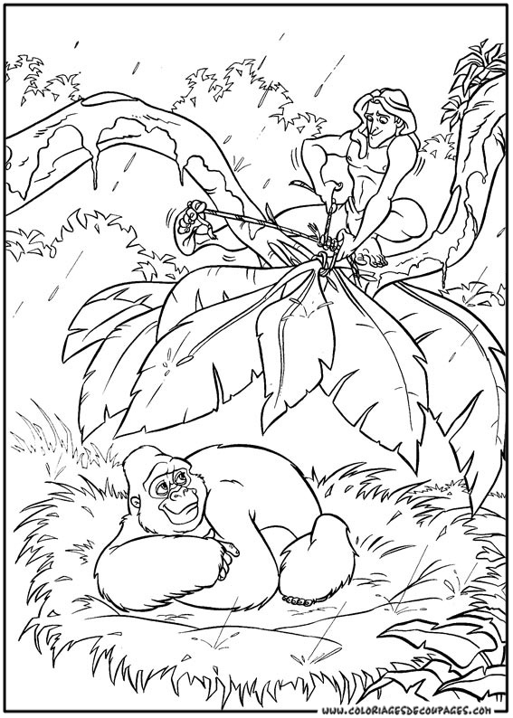 Tarzan #39064