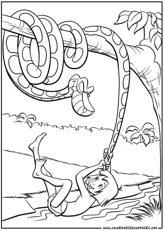 El libro de la selva #39315