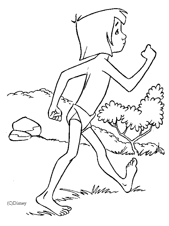 El libro de la selva #39364