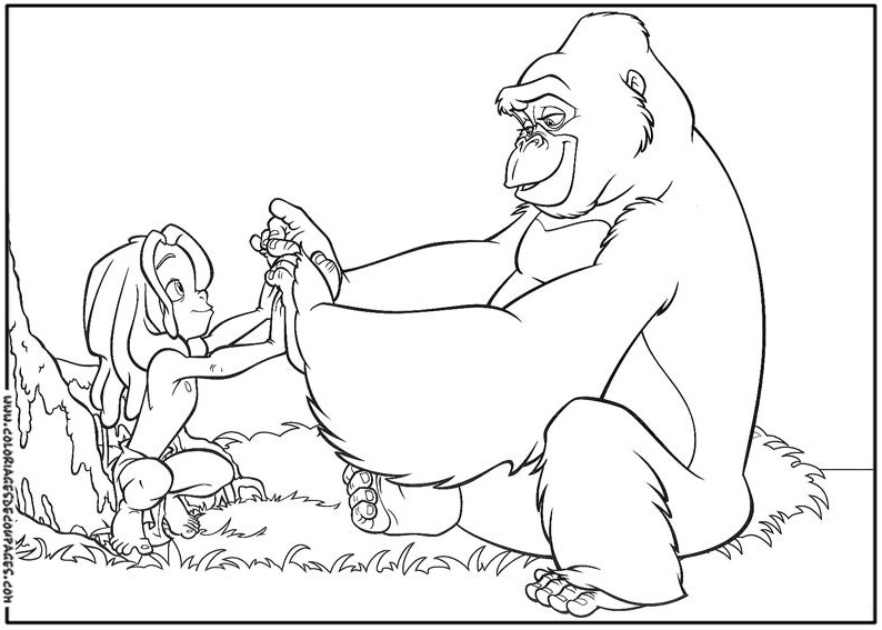 El libro de la selva #39408