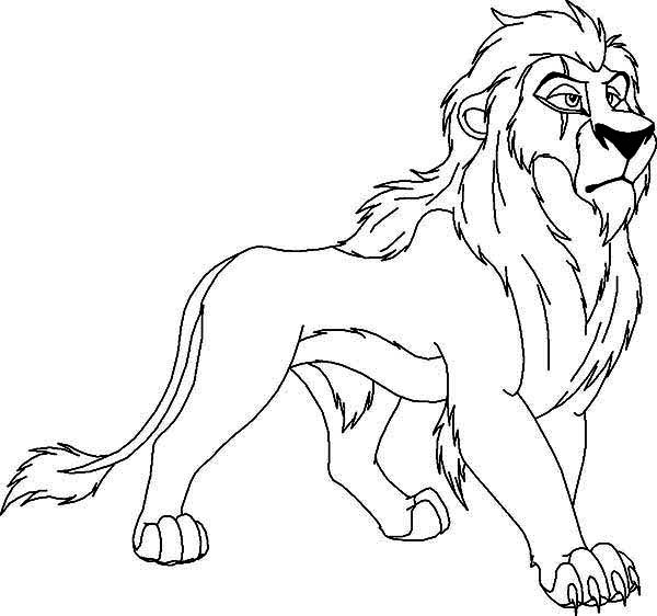 El rey león #39451