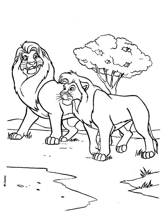 El rey león #39523