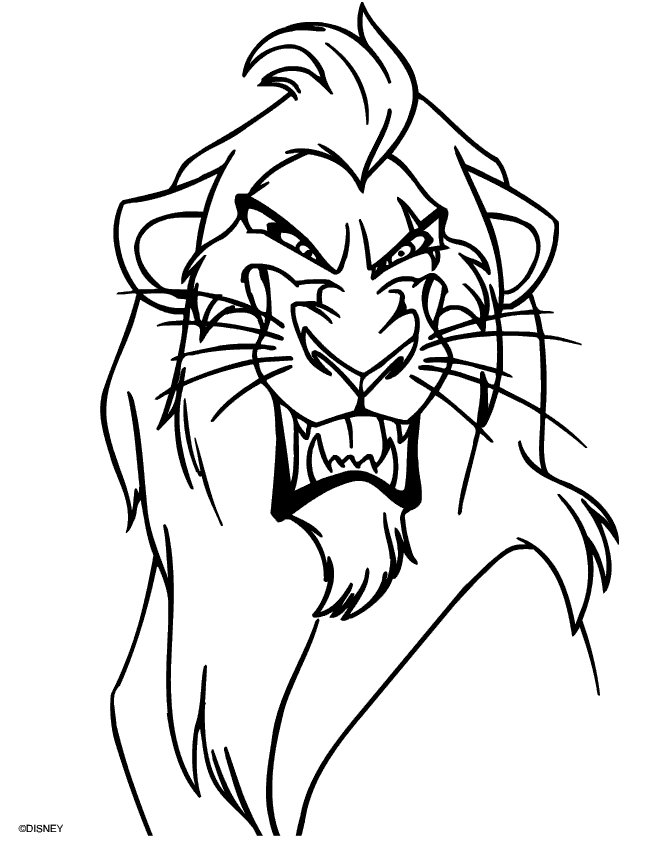 El rey león #39524