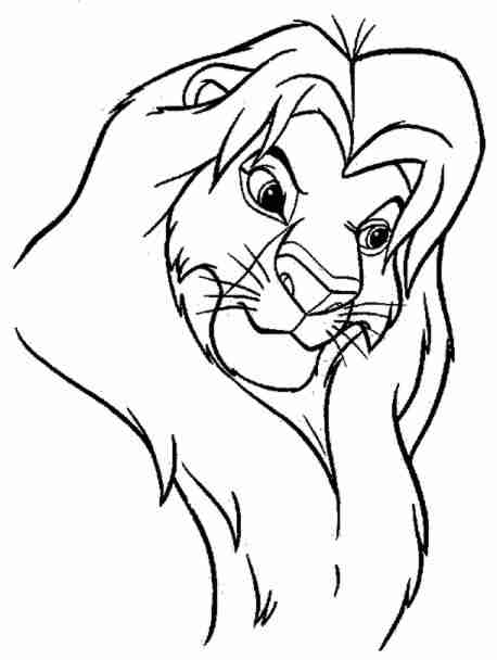 El rey león #39527
