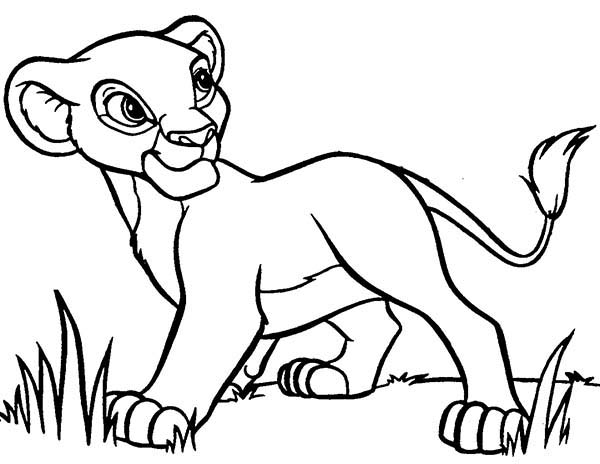 El rey león #39566
