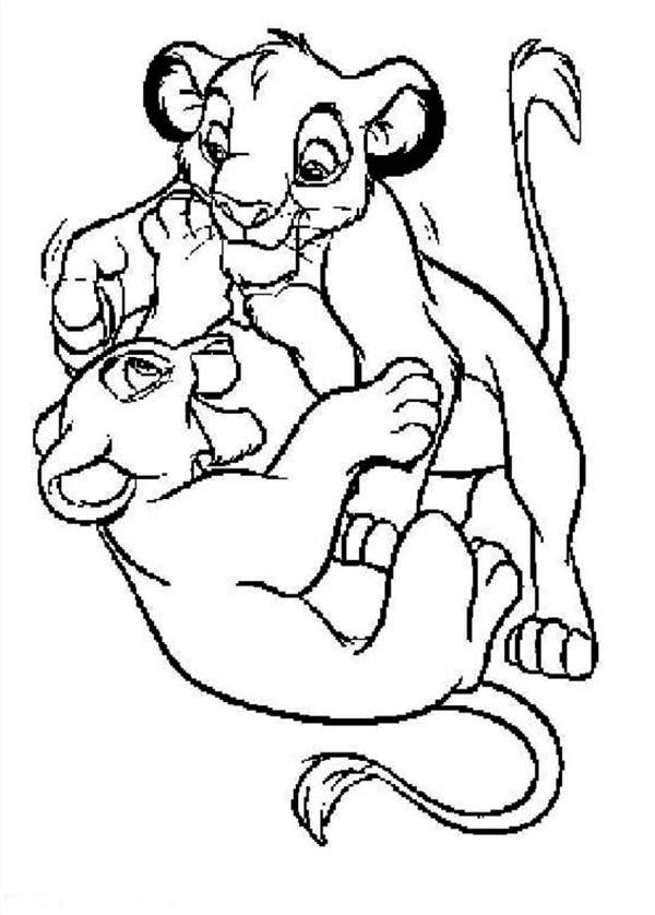 El rey león #39569