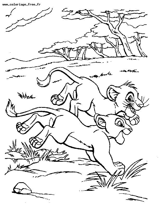 El rey león #39570