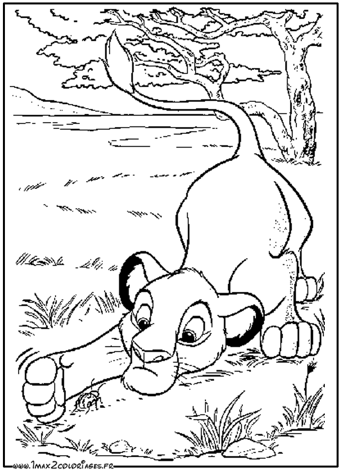 El rey león #39592