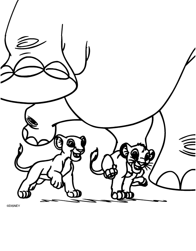 El rey león #39634